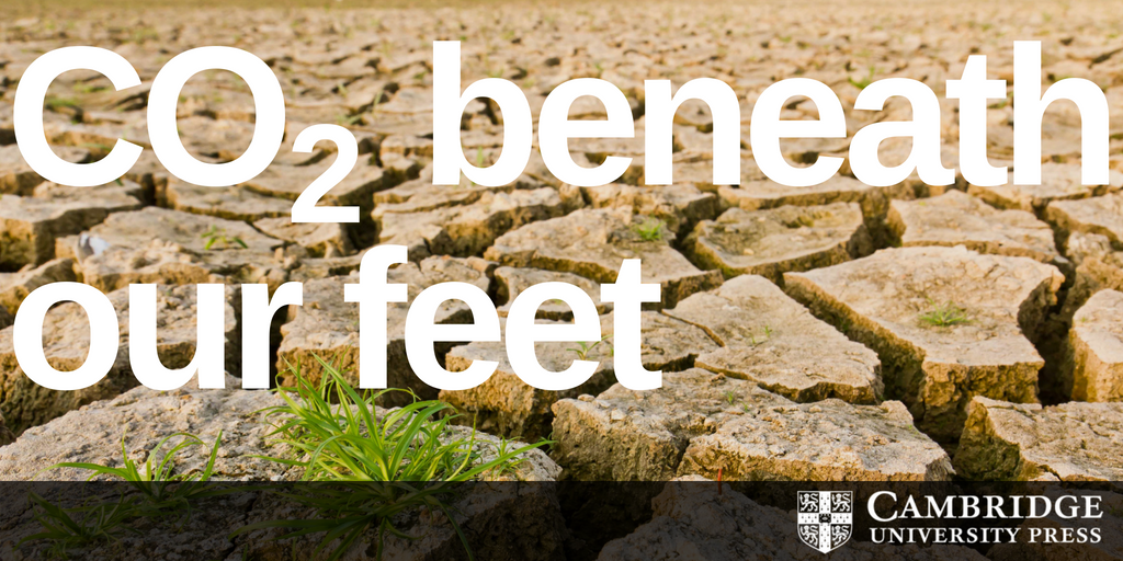 CO2 beneath our feet