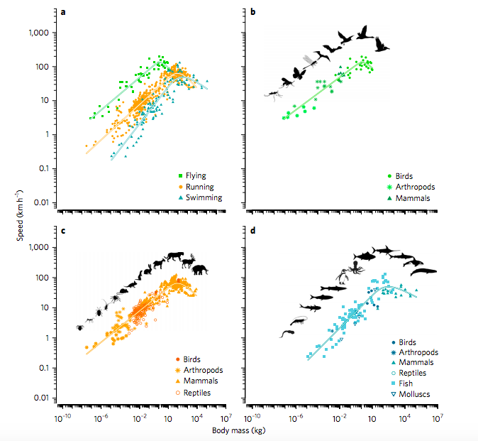 screen shot 2019-01-24 at 10.59.30