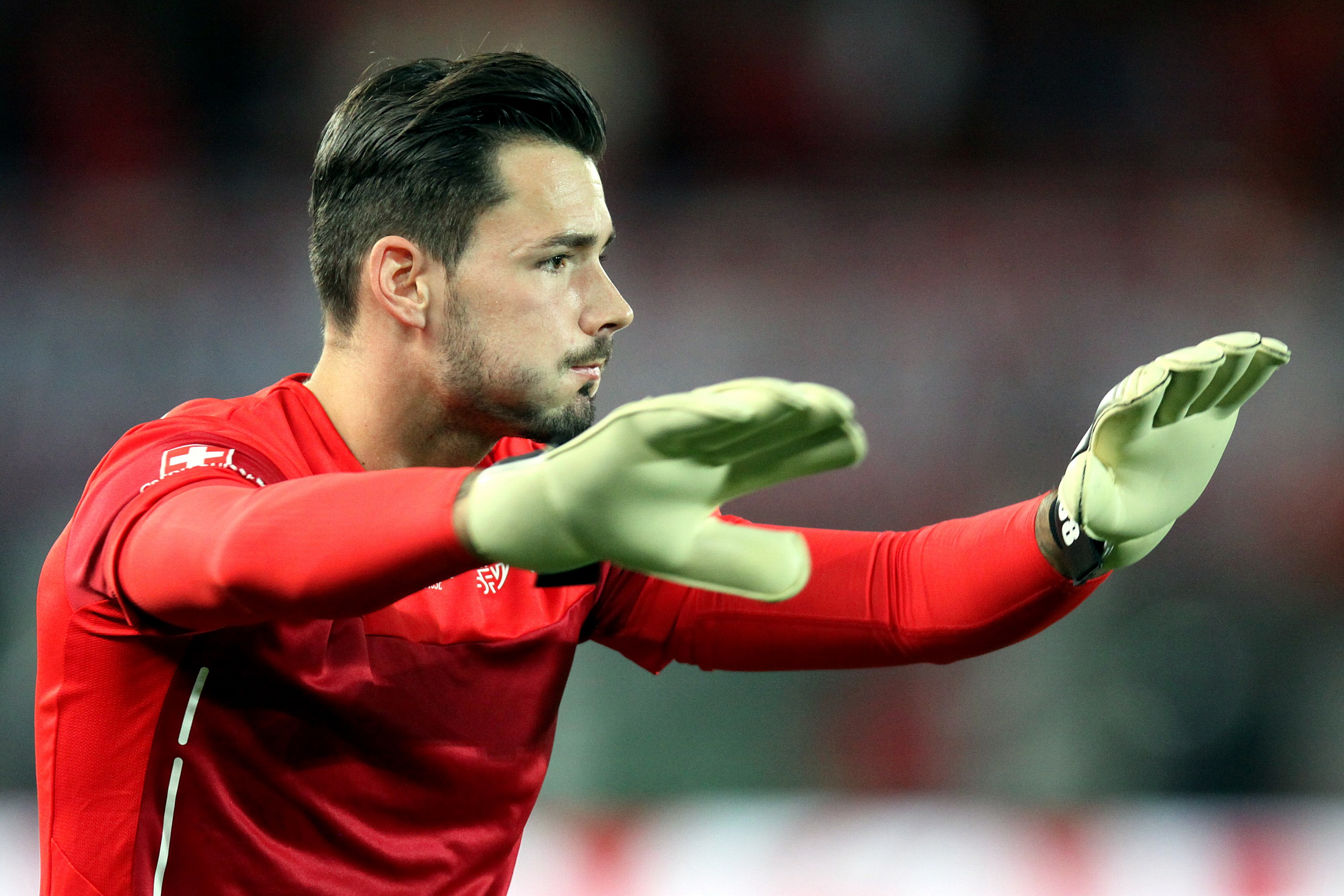 AUT_vs._SUI_2015-11-17_(250)