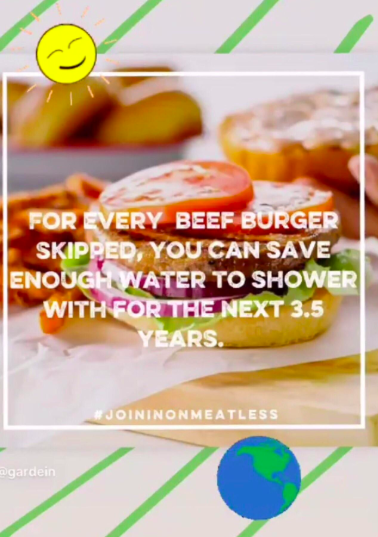 Screen Shot 2019-03-06 at 00.15.32