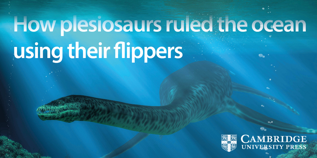 Plesiosaurs