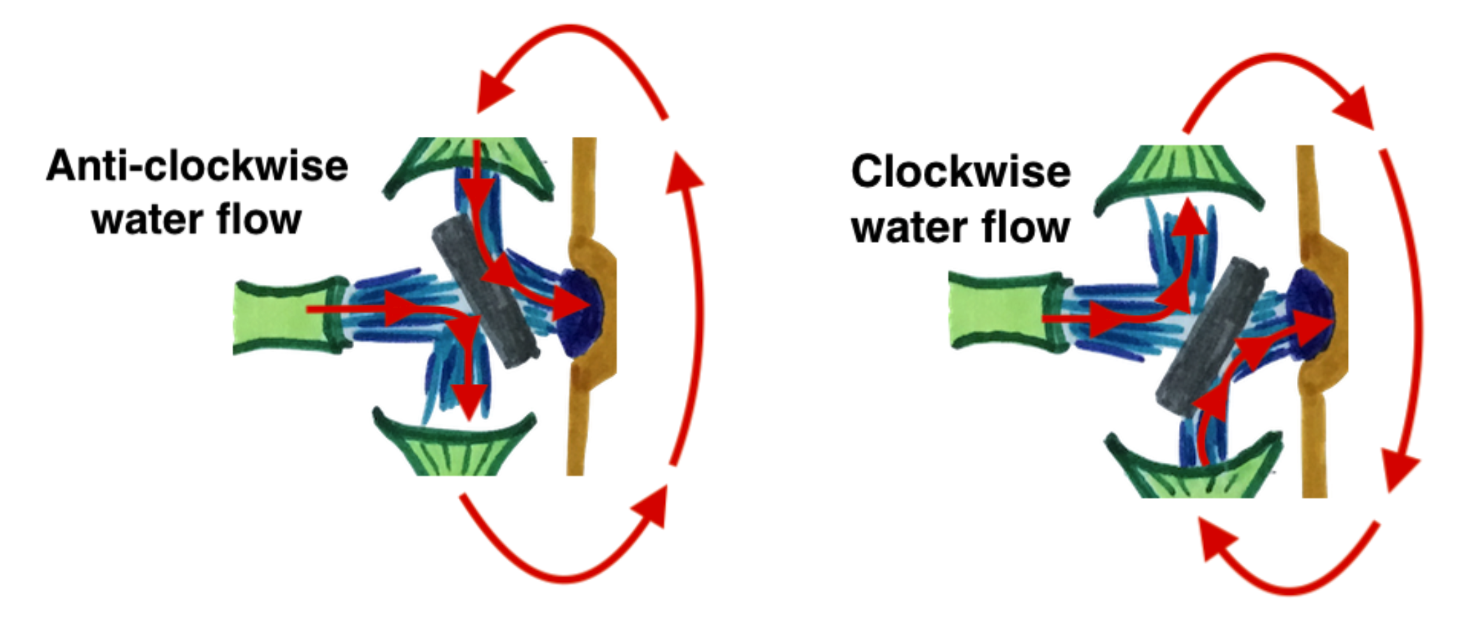 Screenshot 2020-06-17 at 11.47.53